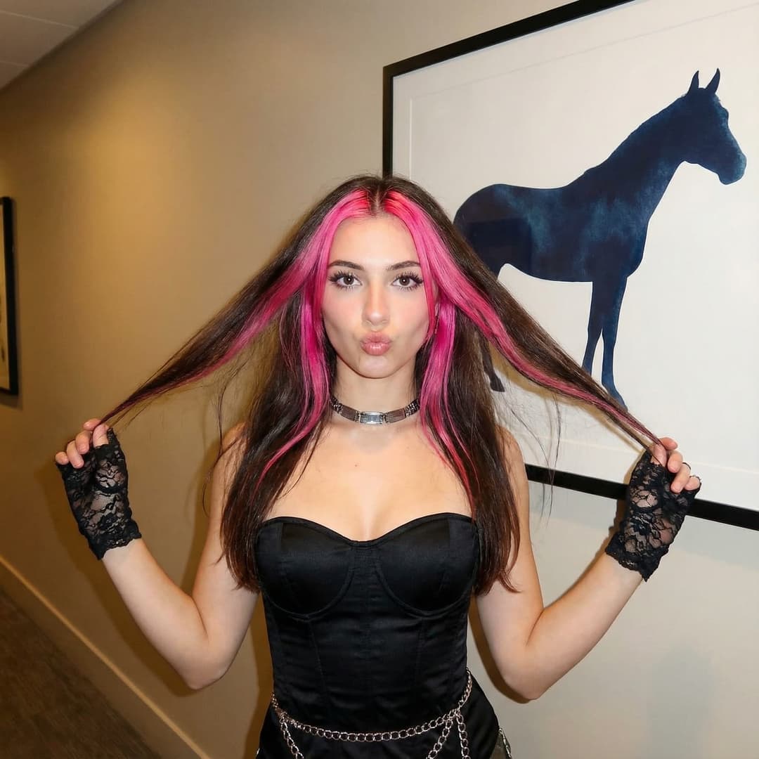 { "prompt_structure": { "subject": { "demographics": "Young woman, light skin tone", "hair": "Long, straight dark brown hair with distinct bright pink chunky highlights framing the face (money pieces), center part", "expression": "Playful, pouting lips ('duck face'), looking directly at the camera", "pose": "Standing facing forward, holding strands of hair outward with both hands at shoulder height" }, "outfit": { "top": "Black strapless corset top with a sweetheart neckline and visible structural boning, fitted silhouette", "accessories": [ "Black lace fingerless gloves covering hands and wrists", "Metallic choker necklace with silver and black circular details", "Silver chain belt draping at the waist/hip" ] }, "makeup": { "eyes": "Defined eyelashes, winged eyeliner, groomed brows", "lips": "Soft pink glossy lipstick" }, "environment": { "location": "Indoor setting, possibly a gallery or hallway", "background": "Large framed artwork on a beige wall depicting a silhouette of a dark blue horse in motion" }, "lighting_and_style": { "aesthetic": "2000s digital camera aesthetic, Y2K influencer style, flash photography", "lighting": "Direct on-camera flash creating high contrast, shiny skin highlights, and a slightly vignetted background", "quality": "Sharp focus on subject, realistic textures, candid snapshot vibe" } } }